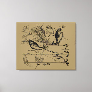 Toile Poissons Constellation Hevelius vers 1690