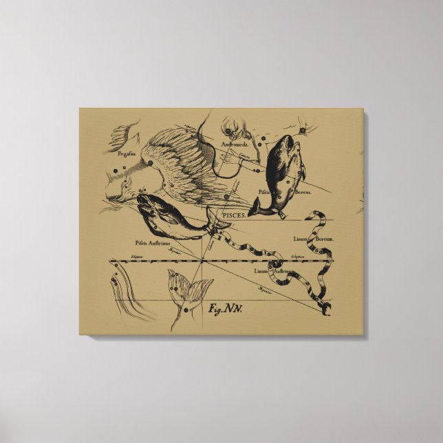 Toile Poissons Constellation Hevelius vers 1690 (Recto)