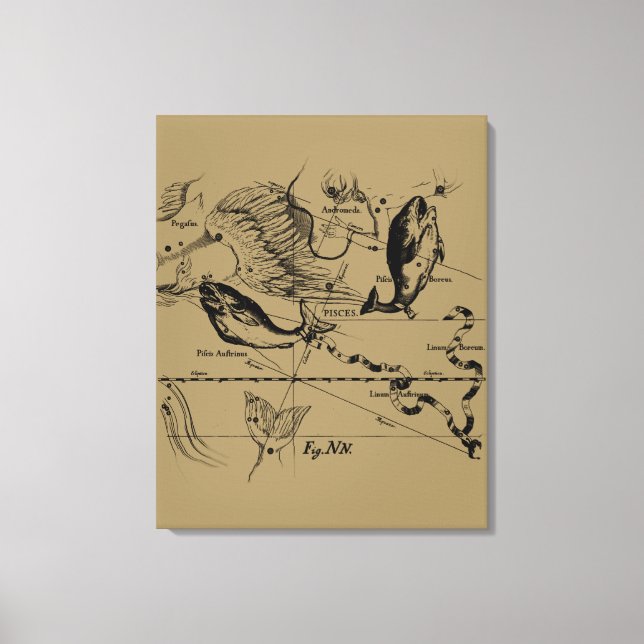 Toile Poissons Constellation Hevelius vers 1690 (Recto)