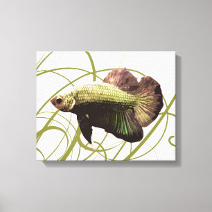 Toile Poissons de combat de Betta d'or