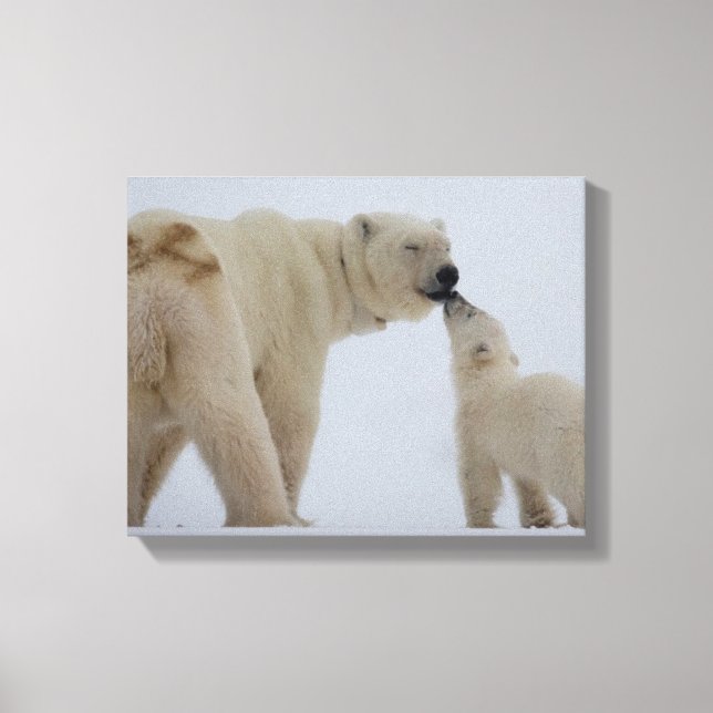 Toile Polar Bear Mother with Cub (Recto)