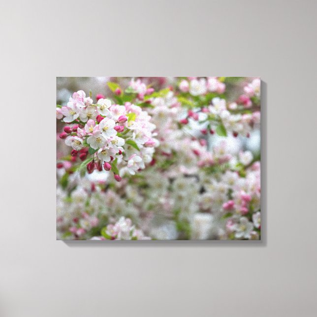 Toile Pomme de crabe à fleurs (Recto)