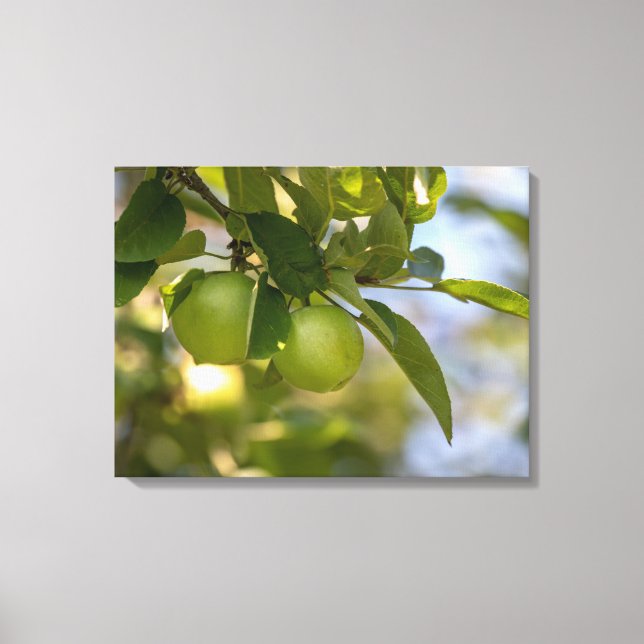 Toile Pommes sur une branche (Recto)