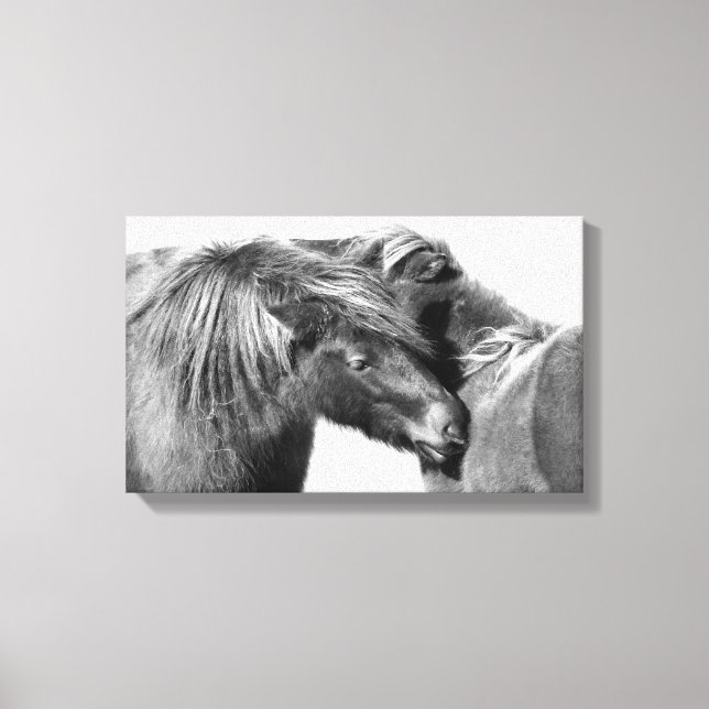 Toile Ponies Scratch (Recto)