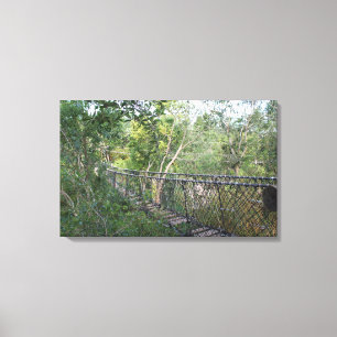 Toile Pont de corde dans les arbres