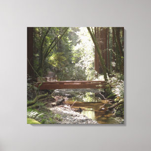 Toile Pont de Muir Woods II