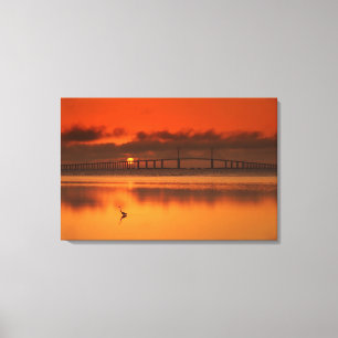 Toile Pont de Skyway
