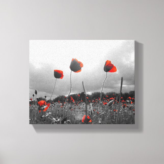 Toile Poppies en noir, blanc et rouge (Recto)
