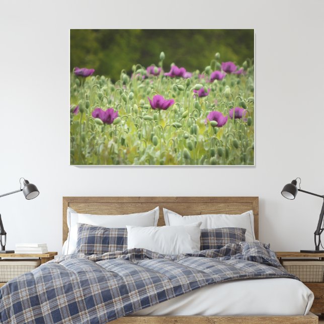 Toile Poppies pourpres dans la prairie florissante (Insitu(Chambre))