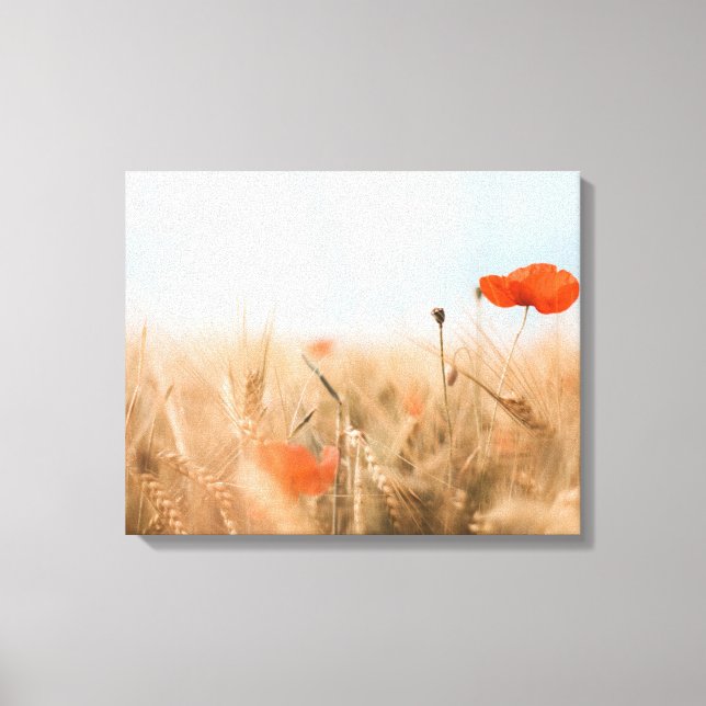 Toile Poppies rouges et orge dorée (Recto)