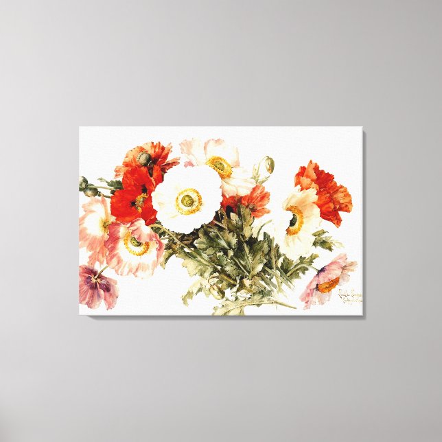 Toile Poppies vintages (Recto)
