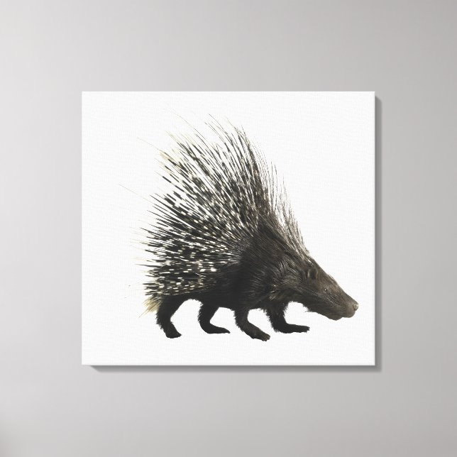 Toile Porcupine (Recto)