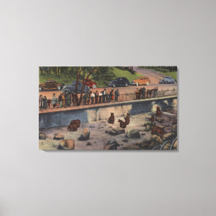 Toile Portland, ORBear Dens à Washington Park