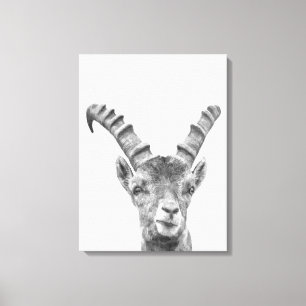 Toile Portrait animal capricorne noir et blanc