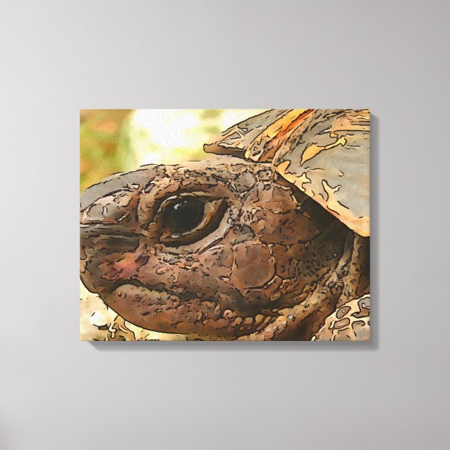 Toile Portrait Côté Gros D'Une Tortue Turque (Recto)