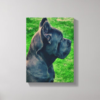 Toile Portrait de Cane Corso