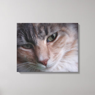 Toile Portrait de chat