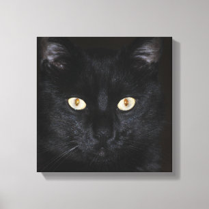 Toile Portrait de chat noir