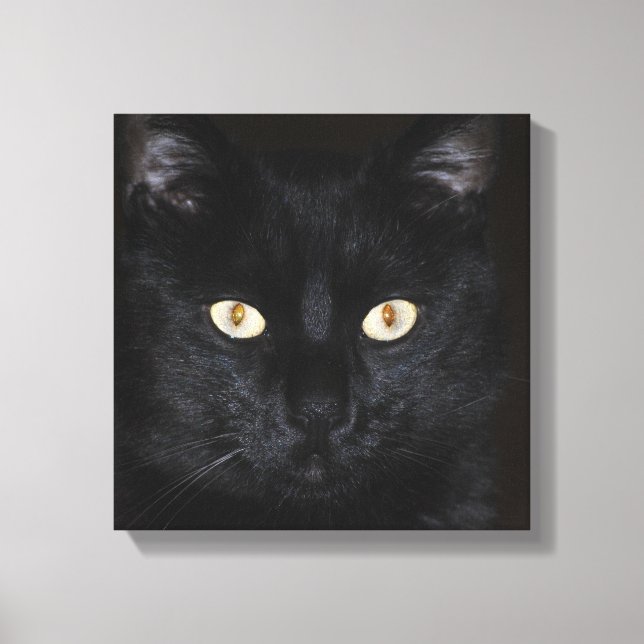 Toile Portrait de chat noir (Recto)