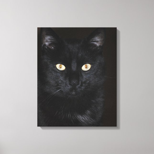 Toile Portrait de chat noir (Recto)