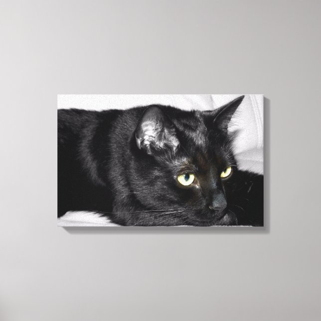 Toile Portrait de chat noir mignon (Recto)