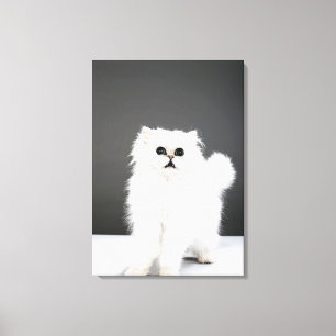 Toile Portrait de chaton