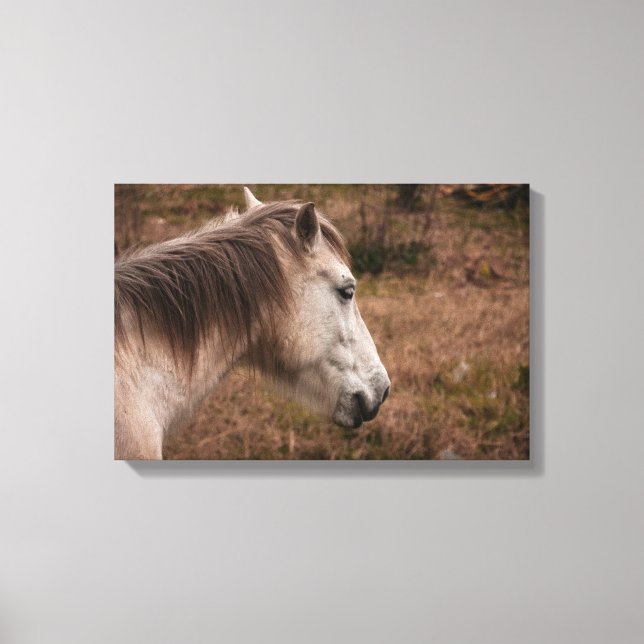 Toile Portrait de cheval (Recto)