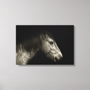 Toile Portrait de cheval