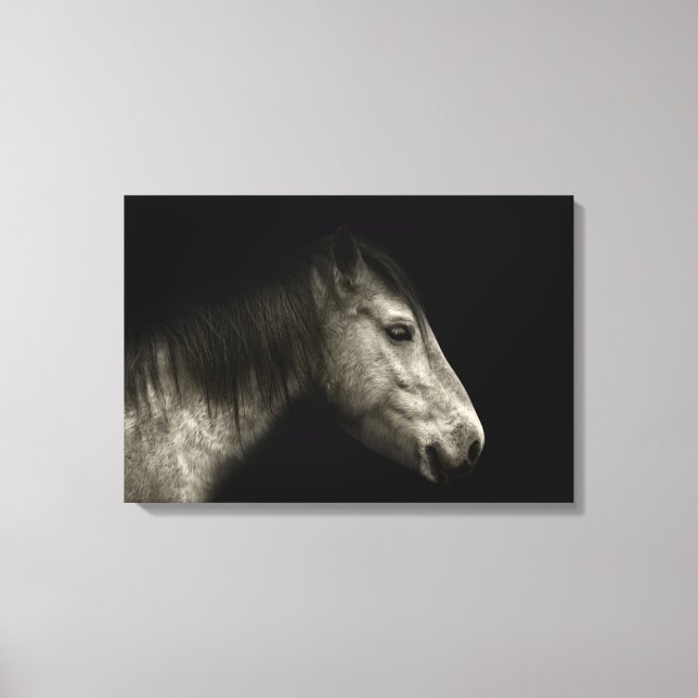 Toile Portrait de cheval (Recto)