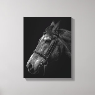 Toile Portrait de cheval en noir