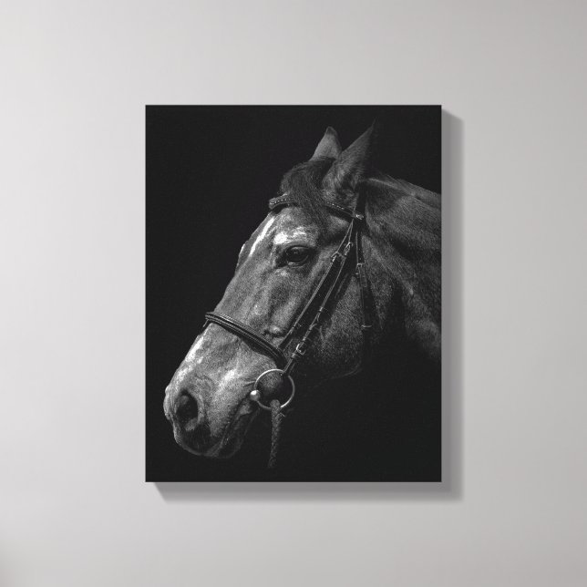 Toile Portrait de cheval en noir (Recto)