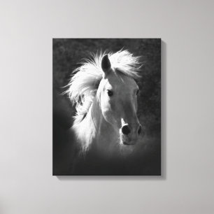 Toile Portrait de cheval V