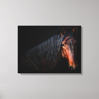 Portrait de cheval VII