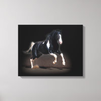 Portrait de cheval VIII