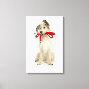Toile Portrait de chien avec laisse
