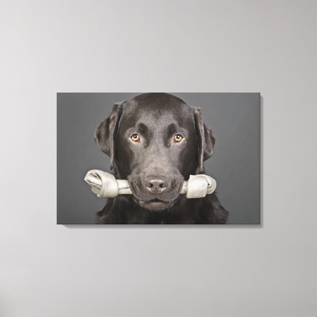 Toile Portrait de chocolat labrador (Recto)