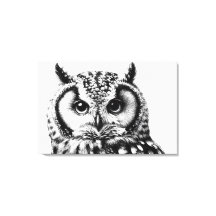 Portrait de Chouette Majestueux 36x24" Grande toil