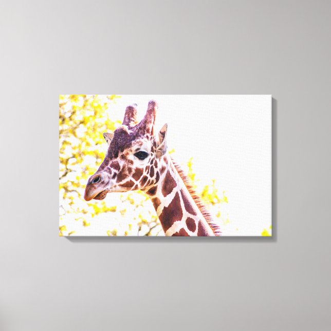 Toile Portrait de Giraffe (Recto)