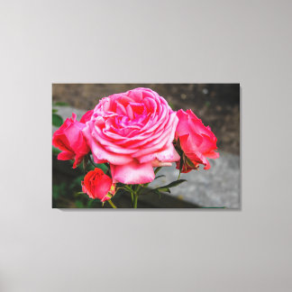 Toile Portrait de jardin rose