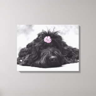 Toile Portrait de masselotte