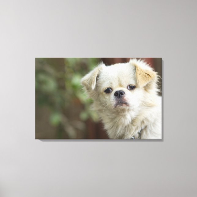 Toile Portrait du chien 5 (Recto)