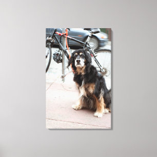 Toile Portrait du chien attendant le propriétaire;