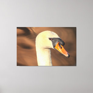 Toile Portrait du cygne muet