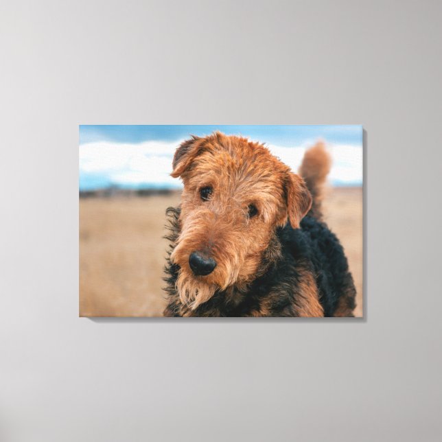 Toile Portrait d'un Airedale Terrier (Recto)