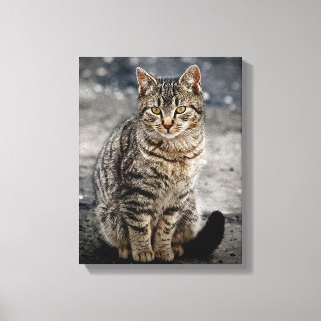 Toile Portrait d'un chat (Recto)