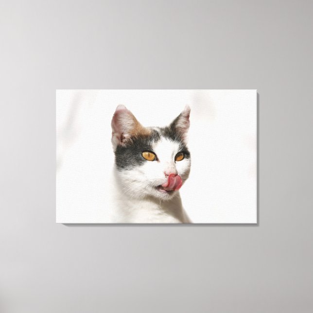 Toile Portrait d'un chat blanc léchant (Recto)