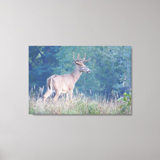 Toile Portrait naturel de Whitetail Buck