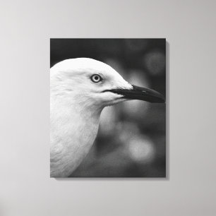 Toile Portrait Seagull