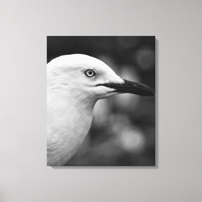 Toile Portrait Seagull (Recto)