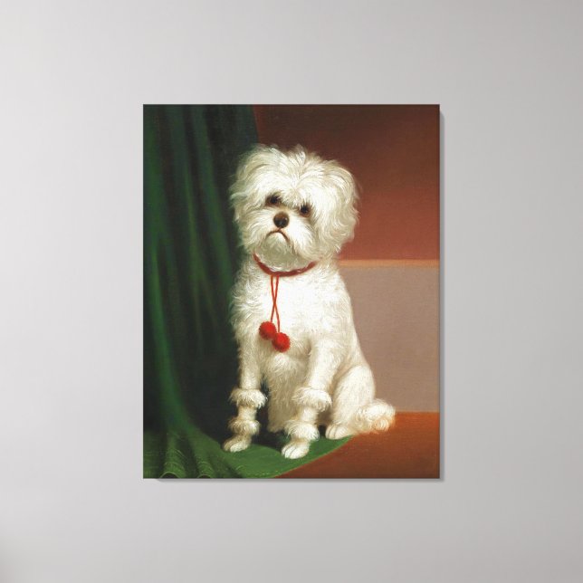 Toile Portrait vintage D'Un Chien Blanc (Recto)
